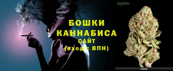 сатива Волосово