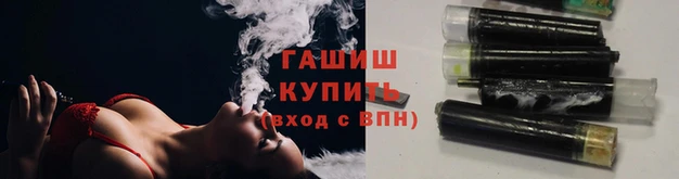сатива Волосово
