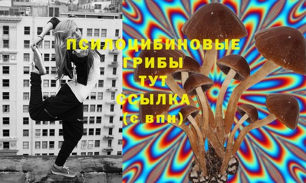 сатива Волосово