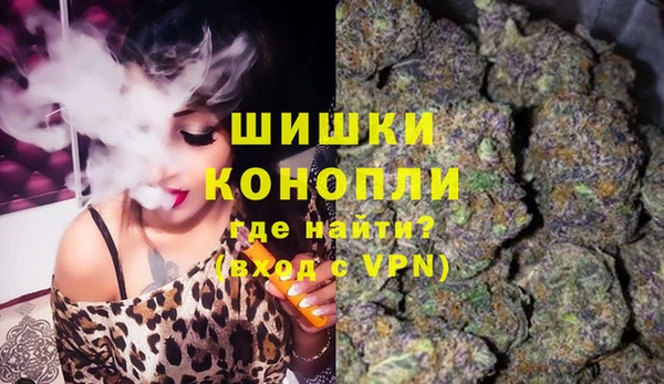 сатива Волосово