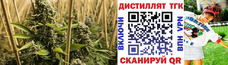 Дистиллят ТГК концентрат Дюртюли