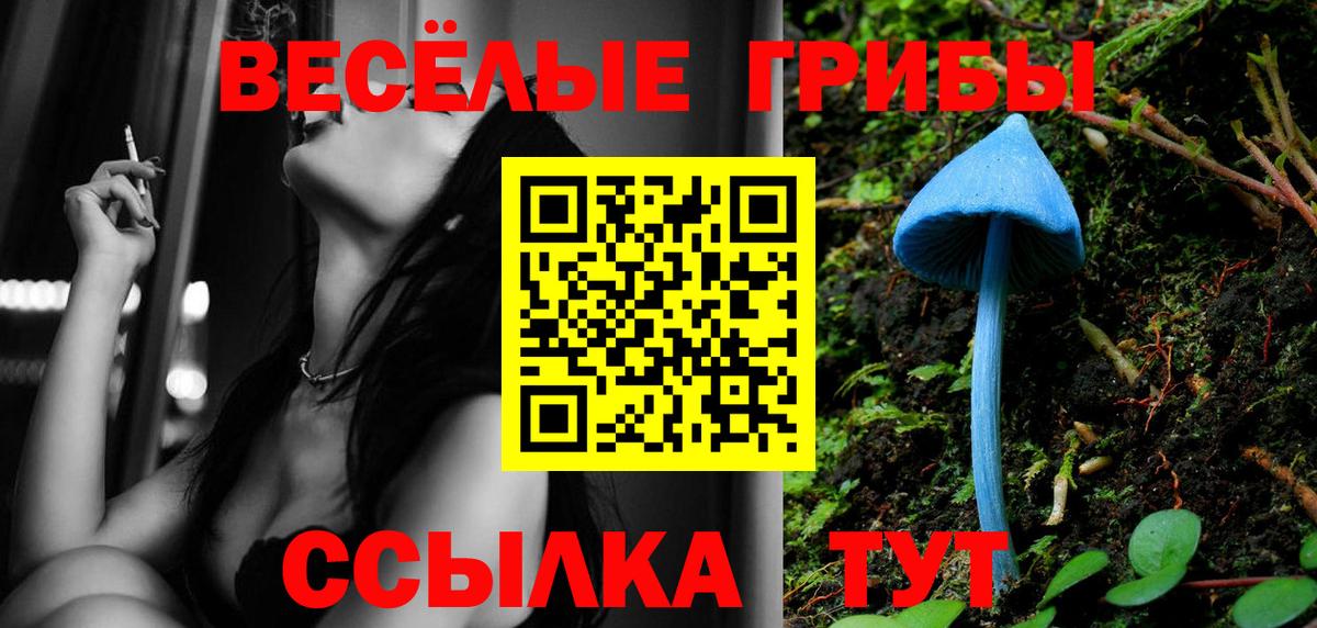 Галлюциногенные грибы Magic Shrooms  Вход с VPN  Дюртюли 
