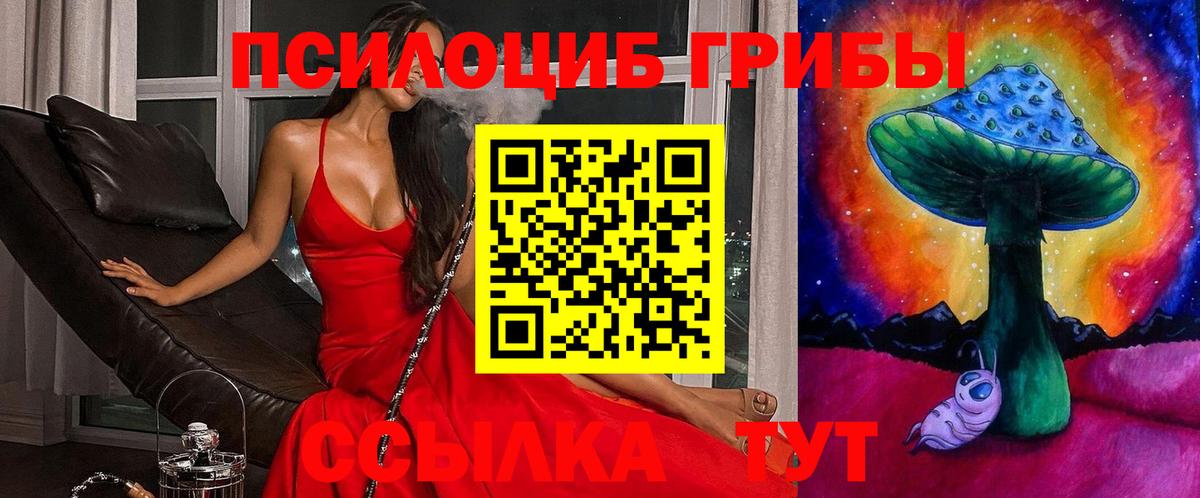 Псилоцибиновые грибы Magic Shrooms  Дюртюли  Галлюциногенные грибы GOLDEN TEACHER 