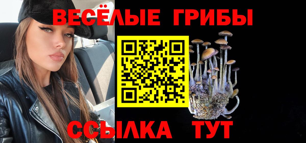 Псилоцибиновые грибы мицелий Дюртюли